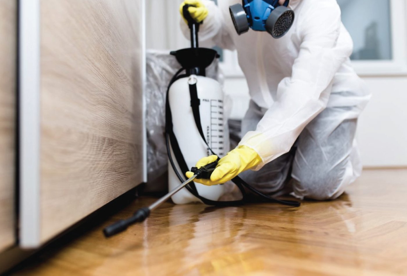 Pest Control